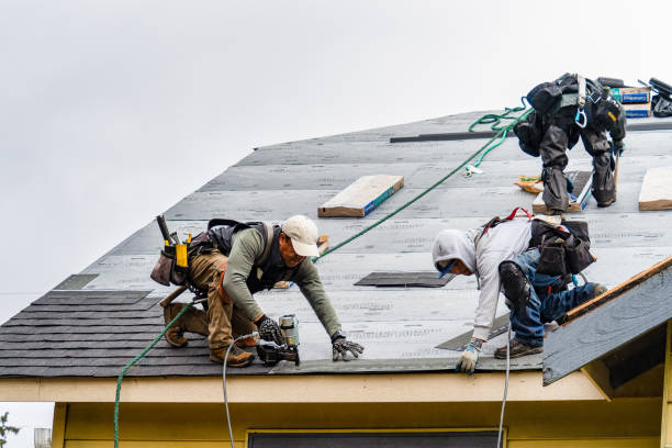 Professional Storm Damage Roof Repair technician working in Macomb, MI
